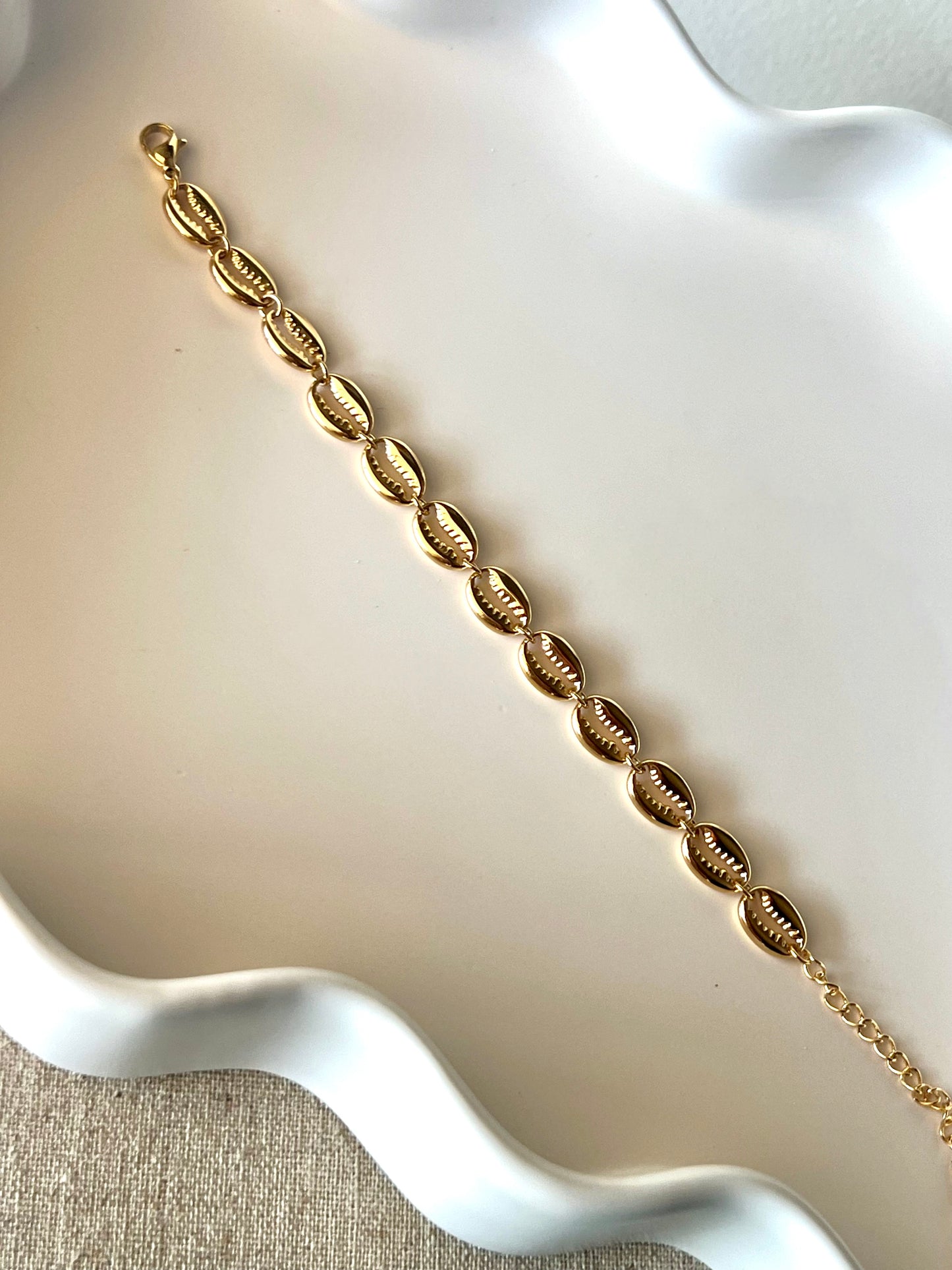 Golden Cowrie
