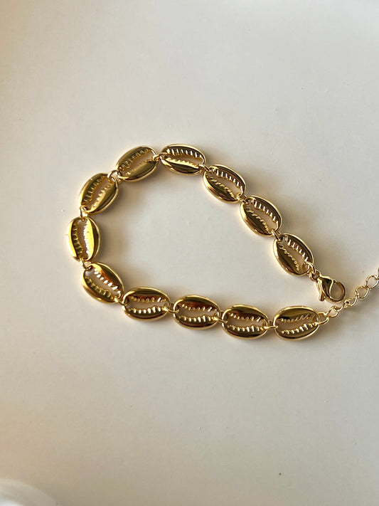 Golden Cowrie